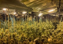 Four illegal immigrants held in custody over Bodmin drug factory