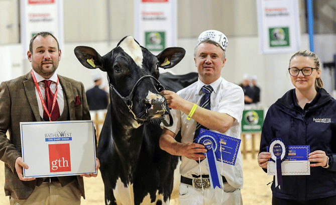 Reserve interbreed champion Thuborough Farms’ Holstein senior cow, shown by Roland Ley