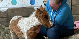 Bodmin equine therapy charity celebrates grant from Morrisons