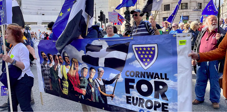 Pam White from St Austell with her banner at the rejoining the EU march in London
