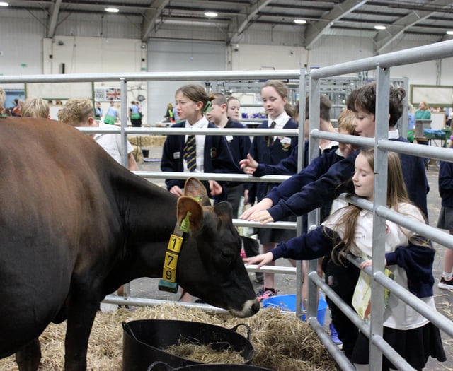 Children have been getting 'Farmwise' in Devon for 10 years
