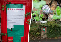 Lewdown postbox blighted by snails eating the mail