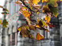 Picture This photography club - looking back to last autumn 