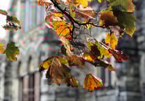 Picture This photography club - looking back to last autumn 