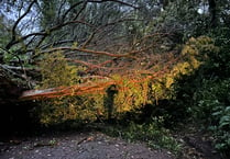 Storm Ciarán causes chaos throughout the South West