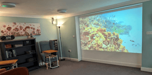 Devon nursing home introduces film nights