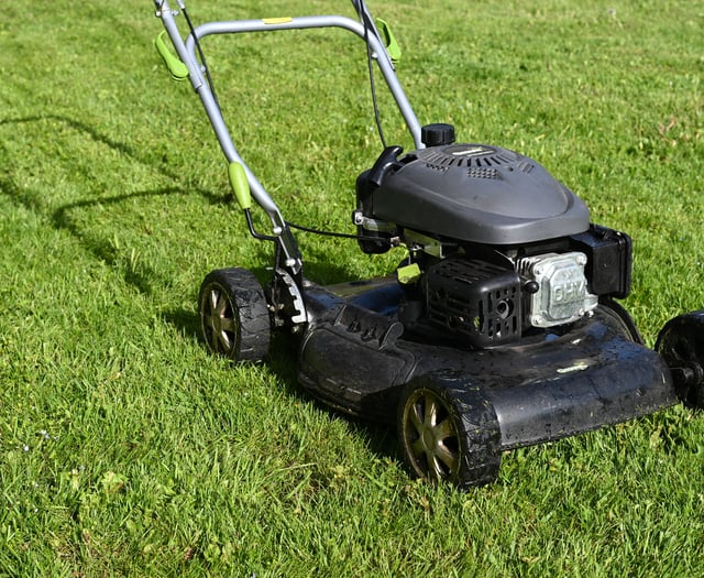Expert warns that this could be the last weekend to mow your lawn