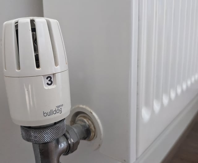 Energy advice for vulnerable households to beat the freeze this winter