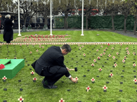 Remembering the fallen - Westminster Column 