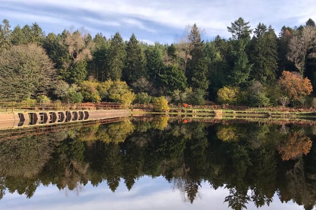 Brown trout fishing closed until March