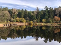 Brown trout fishing closed until March