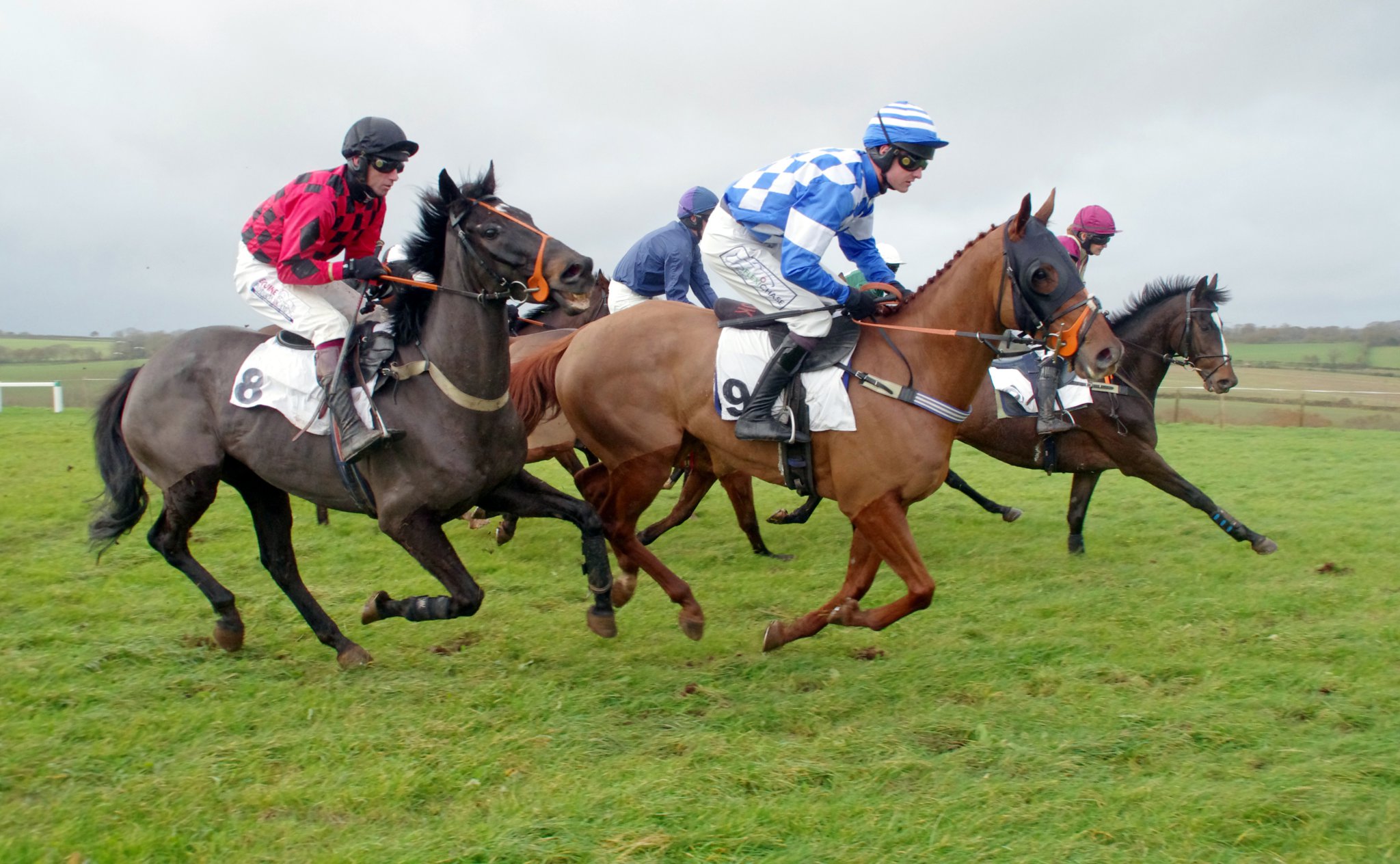 Point-to-point racers compete for top spot