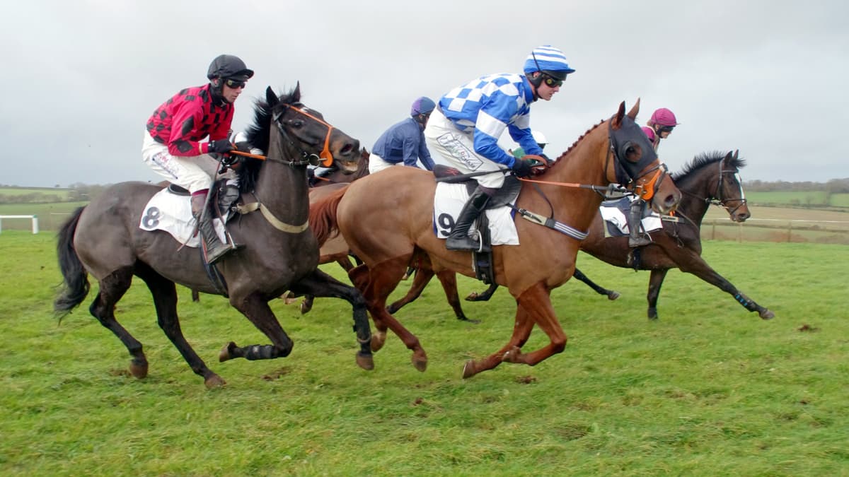 Point-to-point racers compete for top spot | holsworthy-today.co.uk