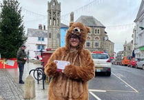 'Bear' roaming the streets of Launceston  