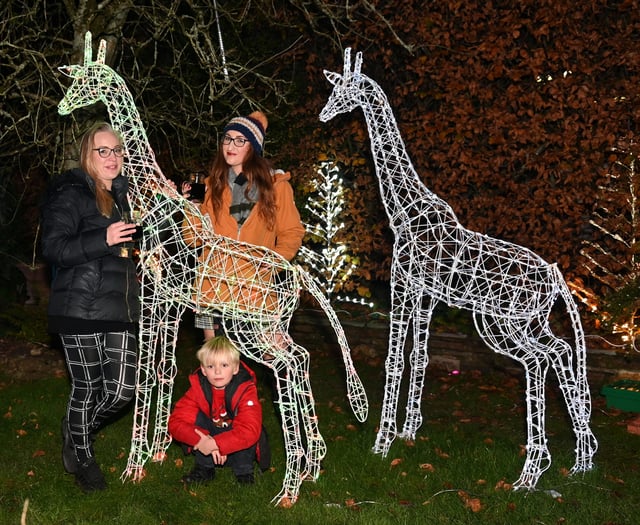 Hard work pays off at St Teath lights