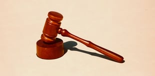 Resident fined more than £1,500 for dog fouling offences