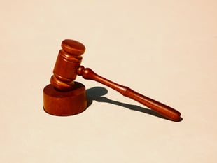 Resident fined more than £1,500 for dog fouling offences