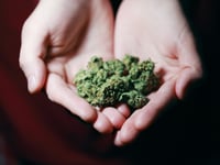 Courier drove for large Devon and Cornwall drugs gang