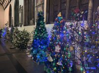 Launceston outdo themselves with Tree Festival