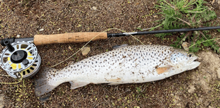 Challenging month for brave anglers