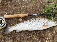 Challenging month for brave anglers