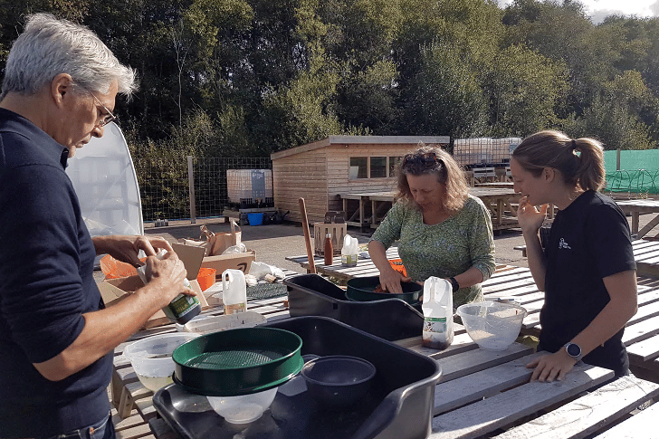 Volunteers at the Meeth Quarry tree nursery