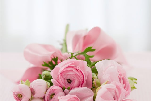 Obituary: Kathleen ‘Kathy’ Fish