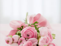 Obituary: Kathleen ‘Kathy’ Fish