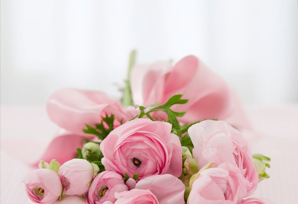 Obituary: Kathleen ‘Kathy’ Fish