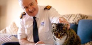 More than 3,000 animals rehomed by the RSPCA in Cornwall 