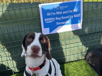 Animals "living their best lives" following 5,000th rescue 