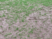 Bad weather claims plenty of matches