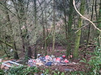 Anger after Launceston woodland targeted by fly-tippers