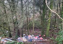 Anger after Launceston woodland targeted by fly-tippers