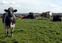 Farmer to benefit from new planning guidance