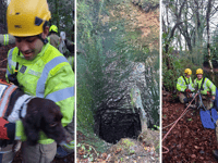 Crews work together to rescue Daisy the dog from mineshaft 