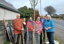 Five Cornish towns plant trees in time for Spring 