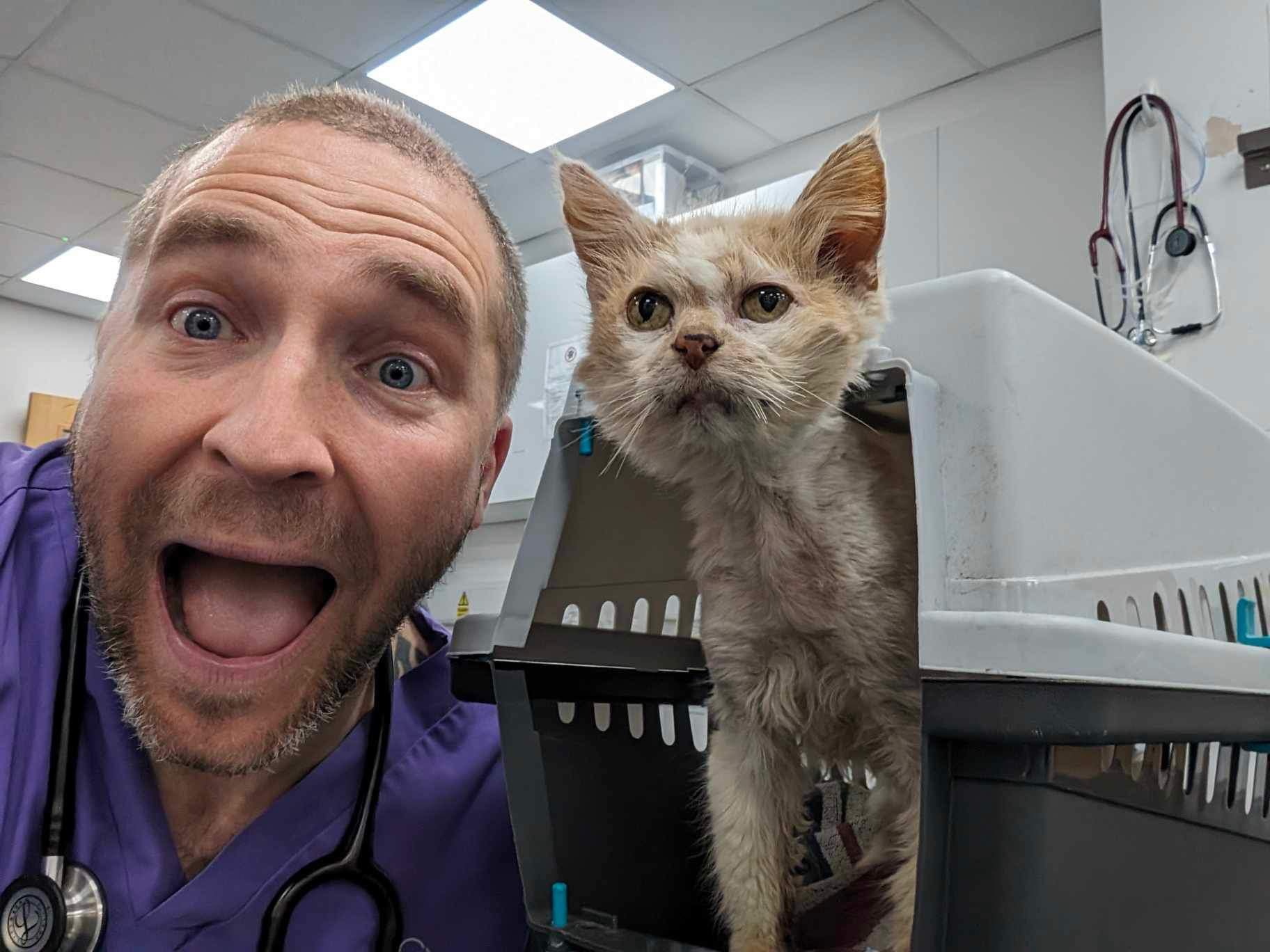 The adventures of Bude’s unusual icon ‘Meth Cat’