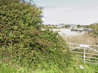 Cornwall council reviews market houses plan