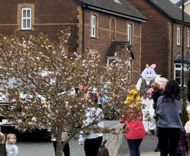 Holsworthy Mutual Aid plans Easter Bunny 'eggstravanza' 