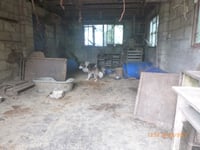 Woman admits cruelty to 200 dogs near Hatherleigh and Chittlehamholt
