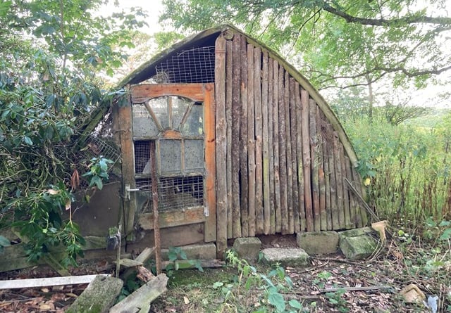 A ramshackle kennel used by Diana Curtis.  Image: RSPCA
