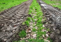 Climate change threatens UK farmland's water quality protection