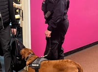 Police dog Skye teaching children the risk of drugs