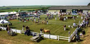 Five arrests made during the Royal Cornwall Show
