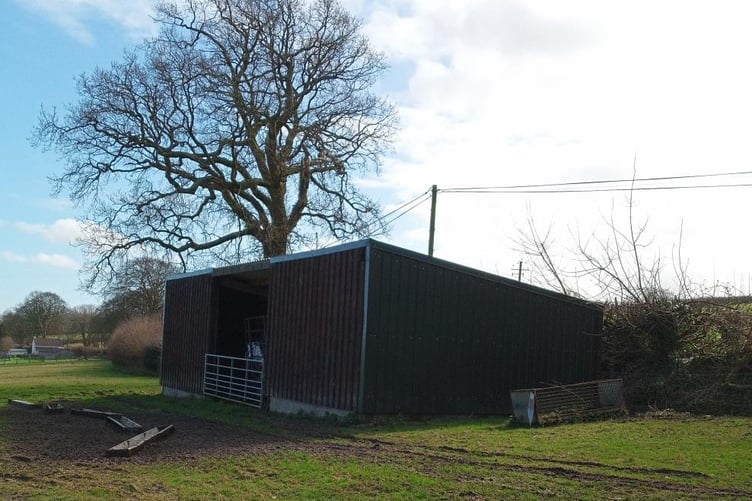 THE more substantial barn as it is today. Historic OS maps show that there have long been stone barns in this and other fields between Illand and Newtown