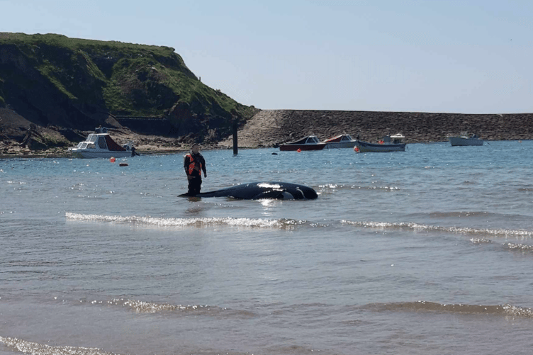 Beach training at BUde
