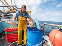 New initiative set to increase British consumption of Cornish seafood