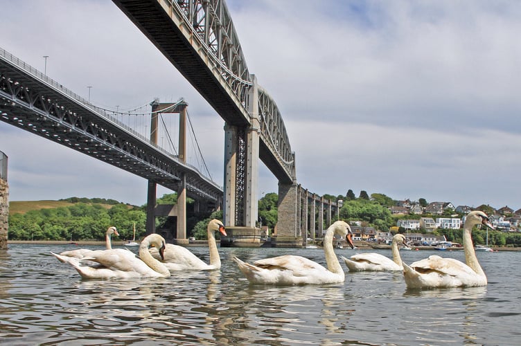 The two bridges across the Tamar at Saltash. (Picture: Ray Roberts)