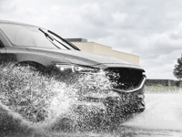 Road safety charity issues advice on driving safely in wet conditions